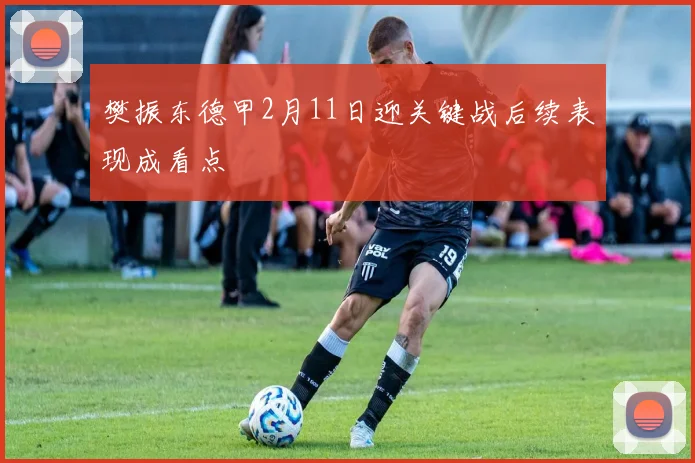 樊振东德甲2月11日迎关键战后续表现成看点