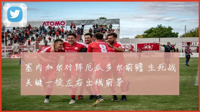 塞内加尔对阵厄瓜多尔前瞻 生死战关键一役左右出线前景