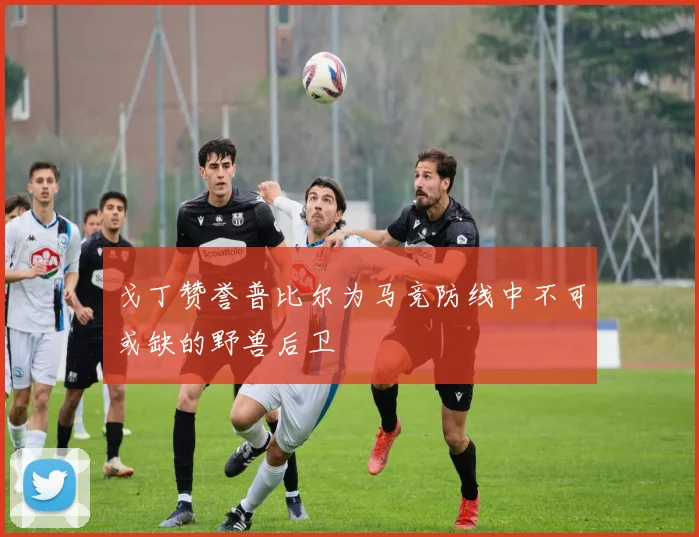 戈丁赞誉普比尔为马竞防线中不可或缺的野兽后卫